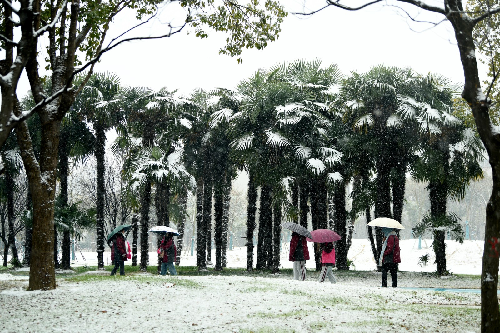 2 海安中专学生在小游园赏雪景.JPG