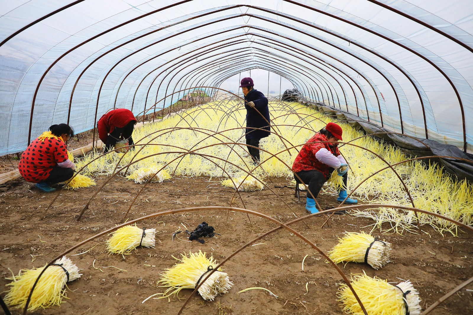 6S8A8048.jpg 6S8A8048.jpg