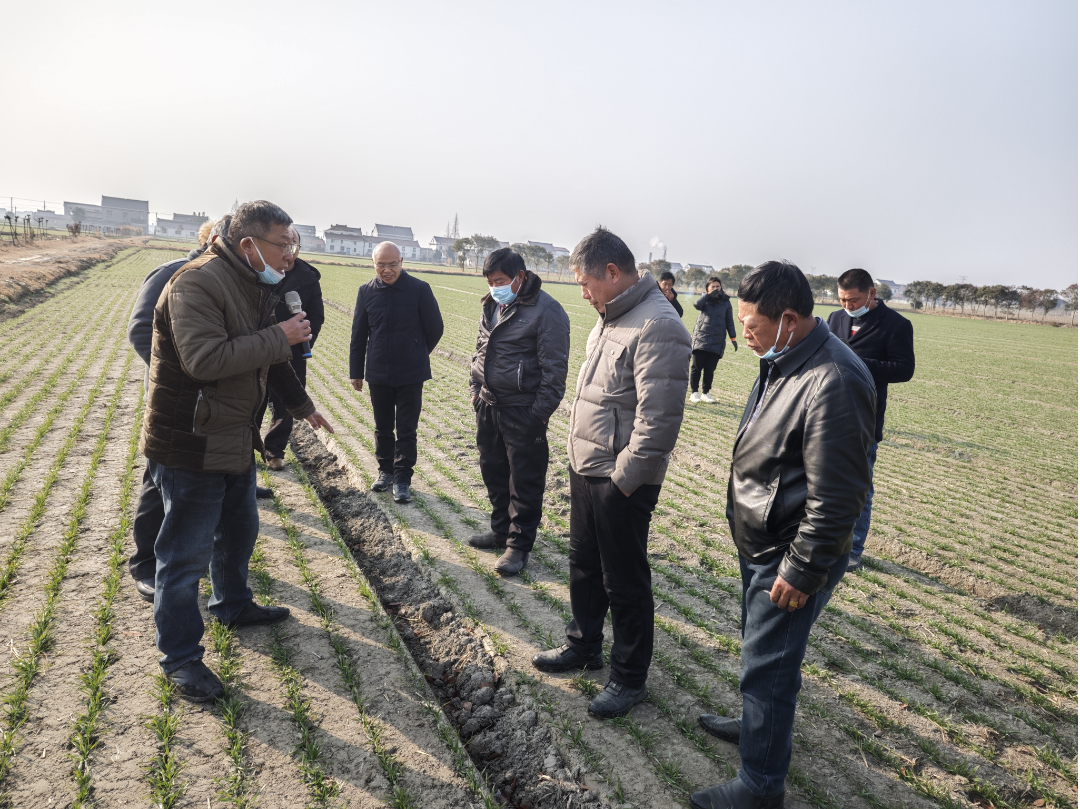 11111111111.png 11111111111.png